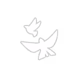 Prayer Beneath Light